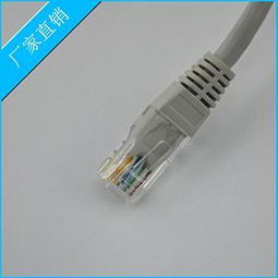 高效傳輸，品質(zhì)卓越 東莞市石排榮聯(lián)電子廠直銷(xiāo)超五類(lèi)網(wǎng)絡(luò)線